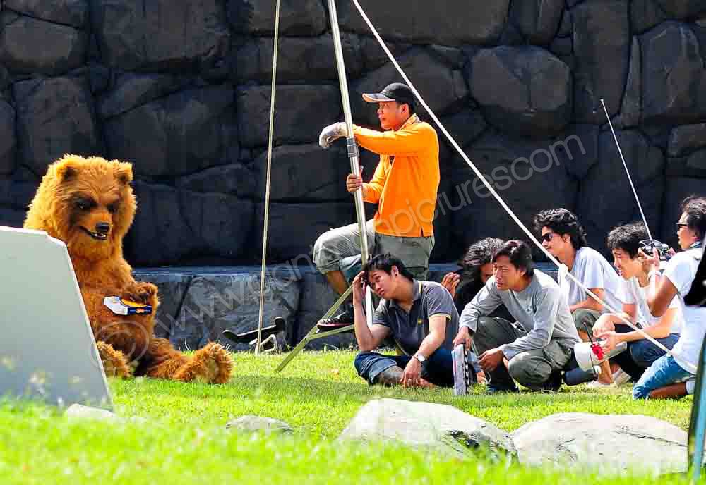 Film Crew and Bear