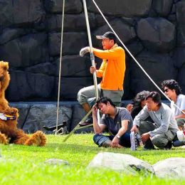 Film Crew and Bear