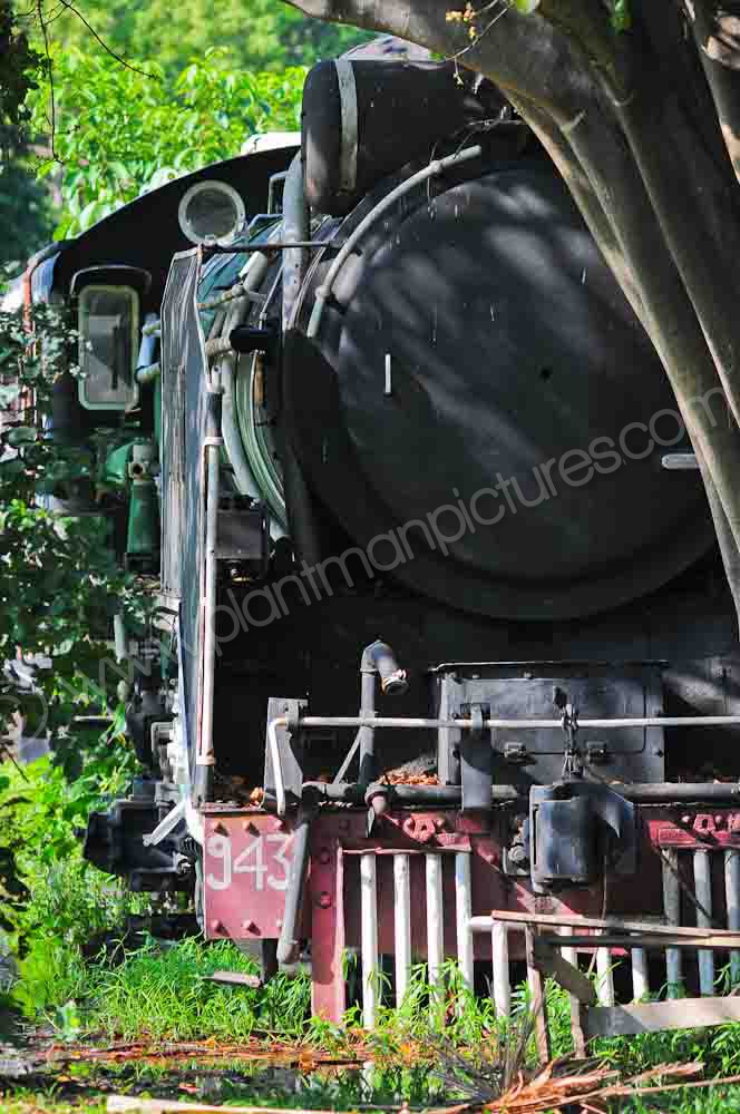 Withdrawn from Service