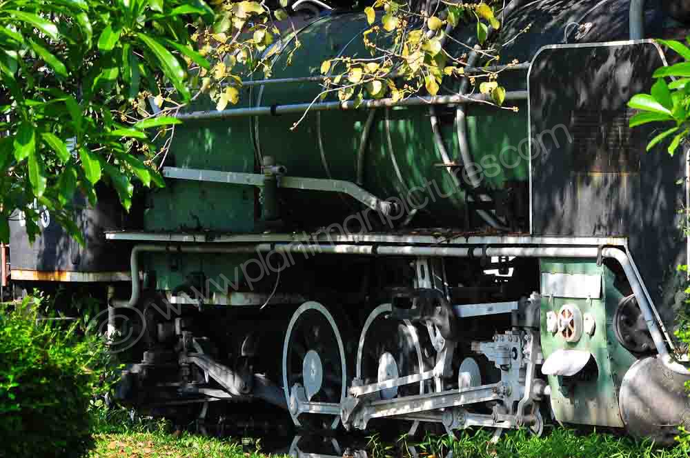 This train will terminate at Rot Fai Park