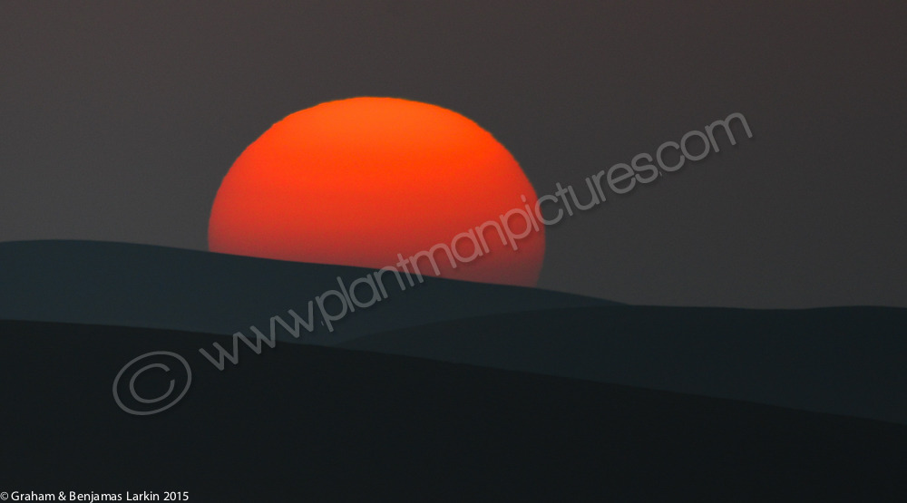 Desert Sunrise over the sand dunes Khatim Desert