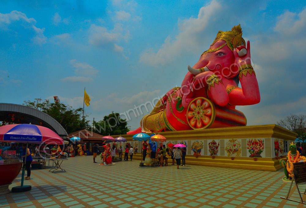 The Pink Elephant