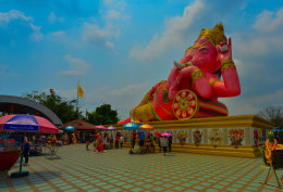 The Pink Elephant