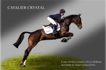 Cavalier Crystal
