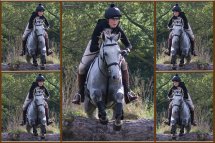 Scarragh Silver