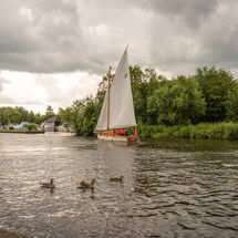 Horning
