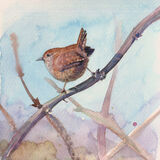 Wren Wren on a branch, blue and purple background, bird art