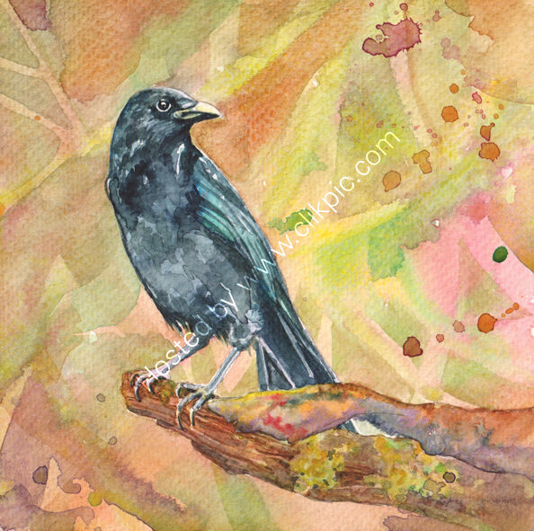 Crow on a branch, pink and orange background, bird art