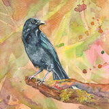 Crow Crow on a branch, pink and orange background, bird art