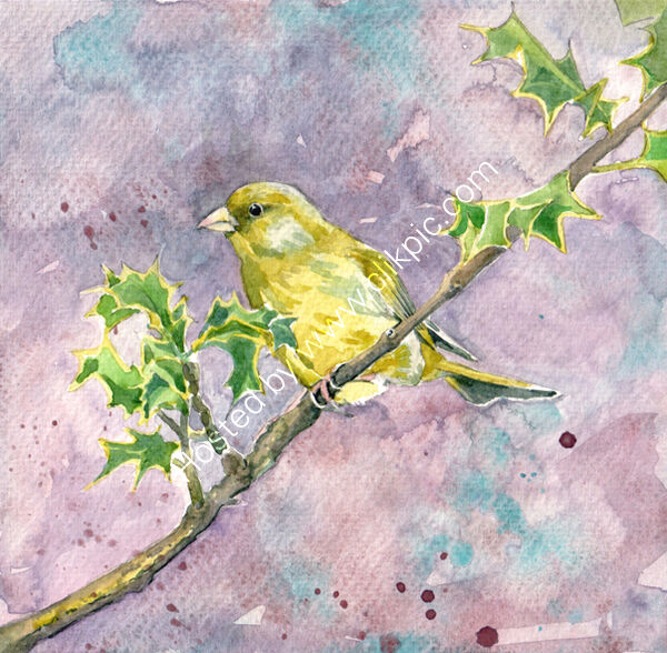 A Greenfinch on pink background, bird art