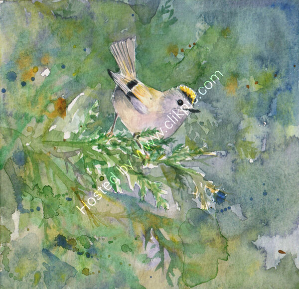 goldcrest on green, bird art