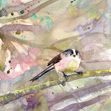 Long-tailed tit Long-tailed tit on purple, bird art