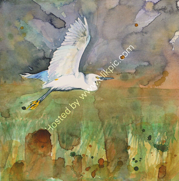Little Egret watercolour, bird art