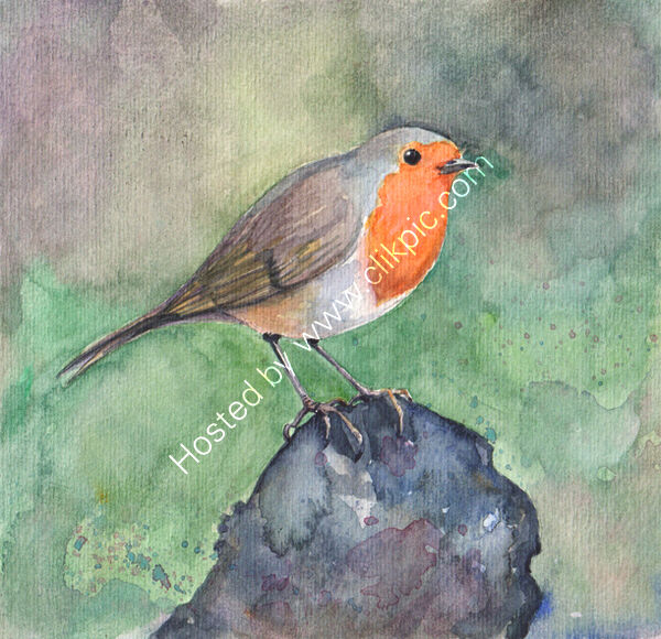 A robin on a dark log, bird art