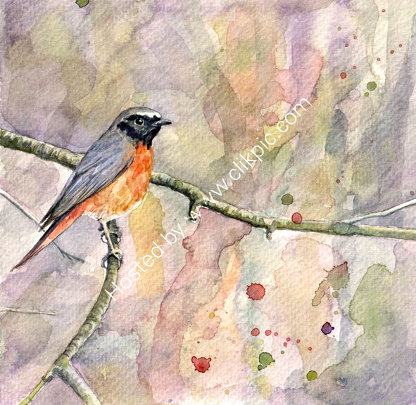 Redstart on a branch, pink, bird art