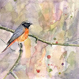 Redstart Redstart on a branch, pink, bird art