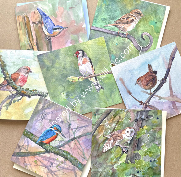 selection of seven bird cards, bird art