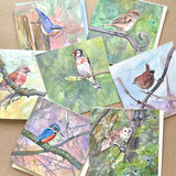 Selection of 7 bird cards, with envelopes, includes postage in UK selection of seven bird cards, bird art