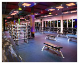 Westwood Clontarf - Free Weights Area