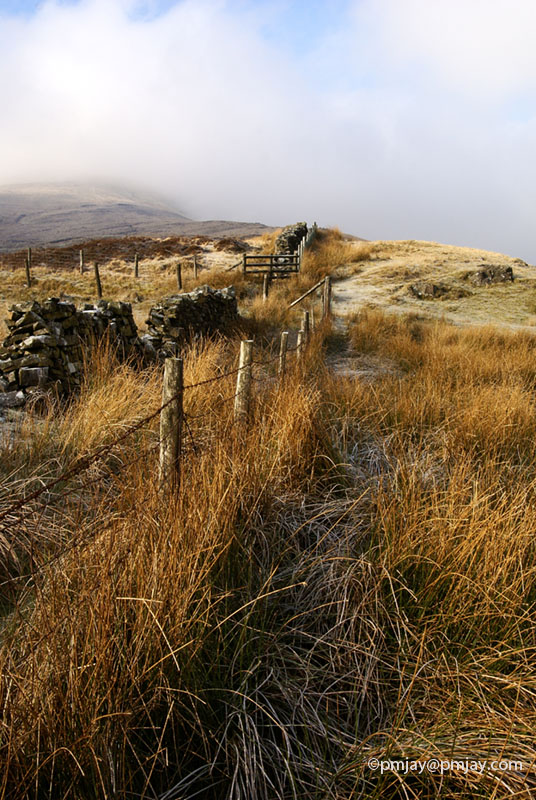 Dawn Light and mist over Heol Senni