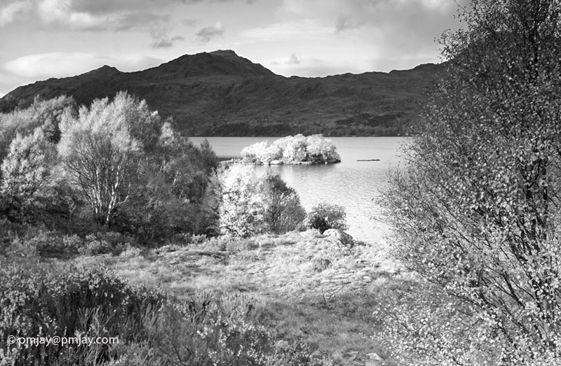 Island off shores of Loch Maree
