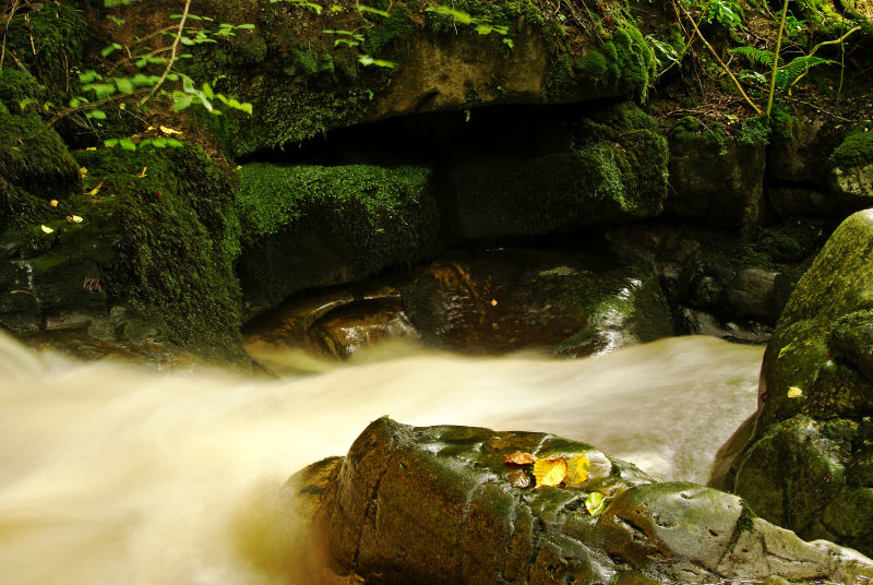 Cwm Clydach National Nature Reserve