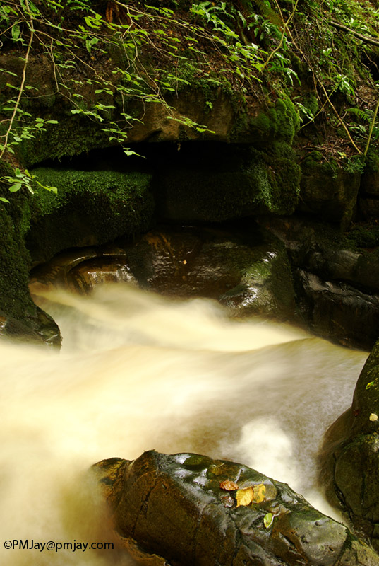 Cwm Clydach National Nature Reserve