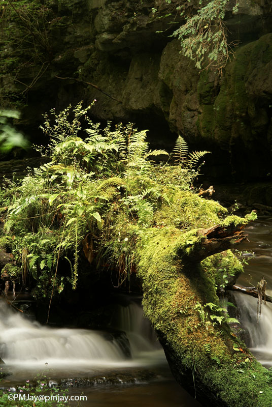 Cwm Clydach National Nature Reserve