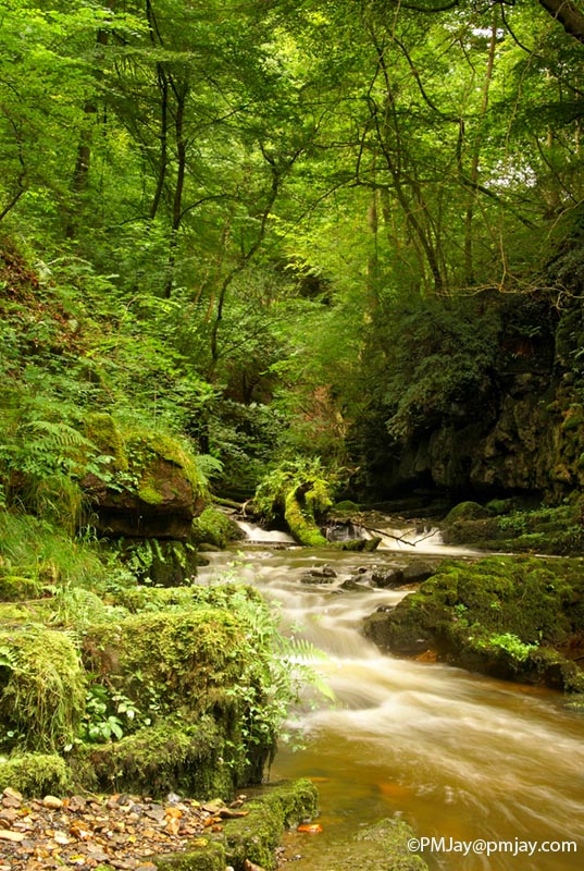 Cwm Clydach National Nature Reserve