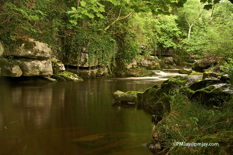 Cwm Taf Fechan LNR