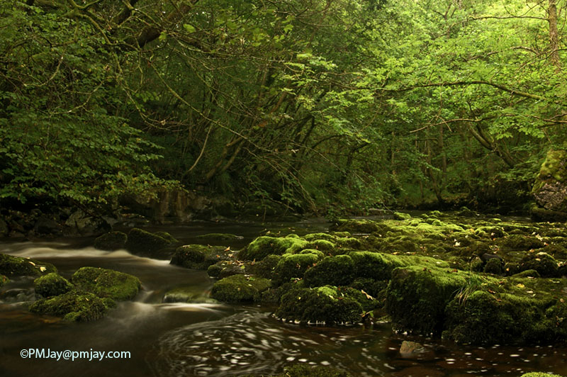 Cwm Taf Fechan LNR