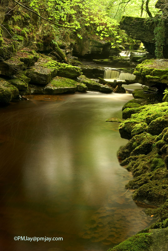 Cwm Taf Fechan LNR