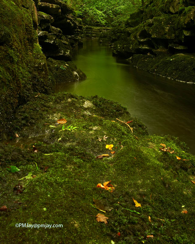 Cwm Taf Fechan LNR