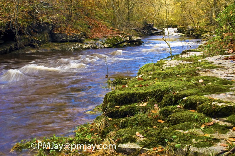 Cwm Taf Fechan LNR