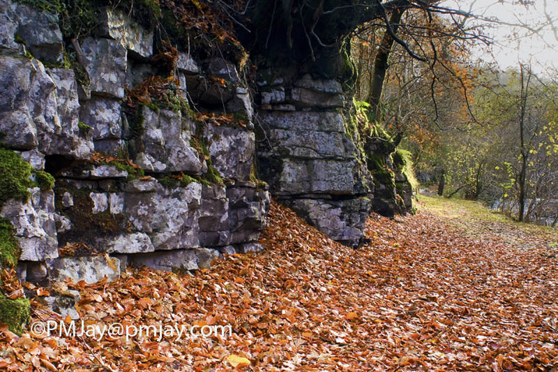 Cwm Taf Fechan LNR