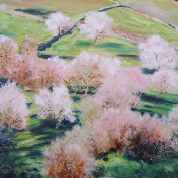 Almond blossom,
