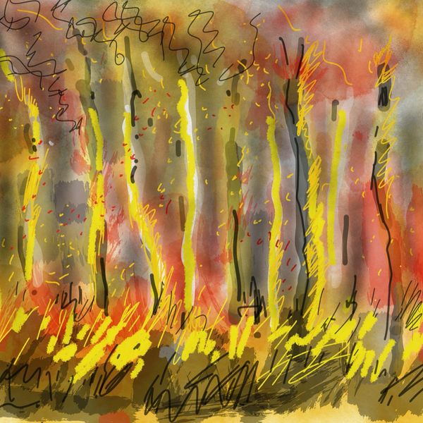 Bushfire 2, iPad digital