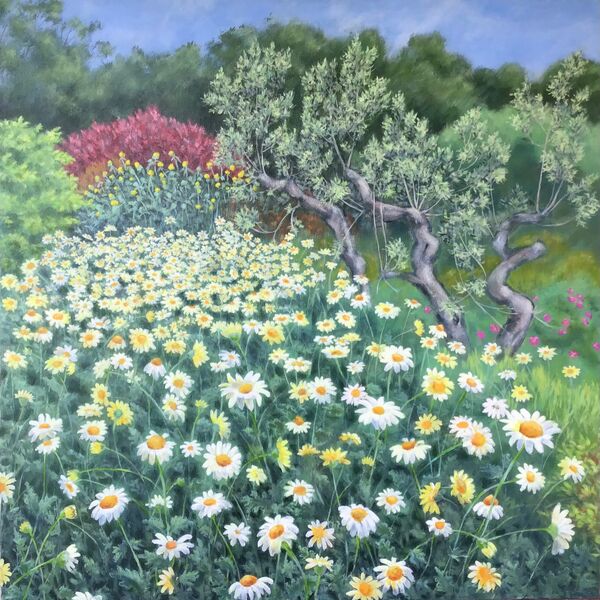 Mediterranean garden