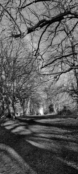 20210123 155224 b& W