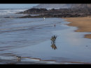The Surf Has Gone by Peter Budd