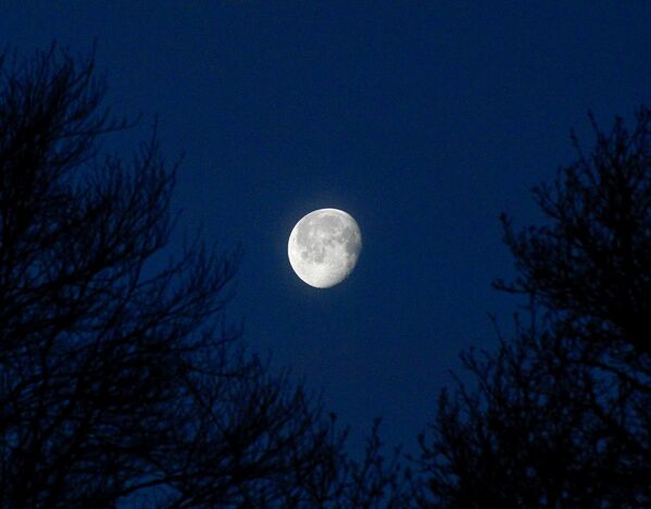Waning gibbous moon