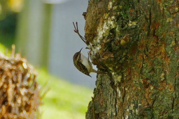 image0 (1)