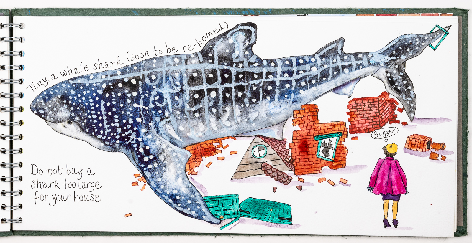  Keeping Sharks as Pets