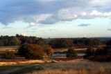 Richmond Park