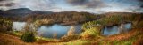 Tarn Hows Panoramic
