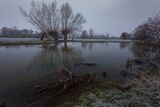 chilly
