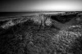 walberswick b&w