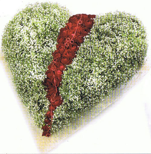 A broken heart !