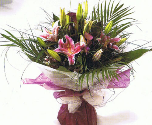 Lily Sensation