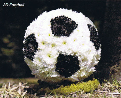 3D Football